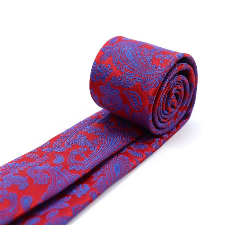 Mens Paisley Neckties